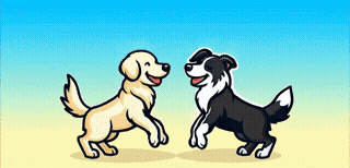 Two dogs playing - K-9 Enrichment Center